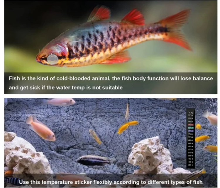 Fish Tank Aquarium Temperature Self-adhesive Sticker (6) Fish Tank Aquarium Temperature Self-adhesive Sticker (6)