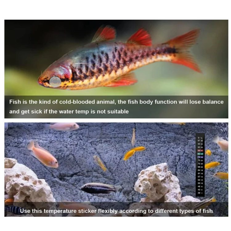 Fish Tank Aquarium Temperature Self-adhesive Sticker (6).png