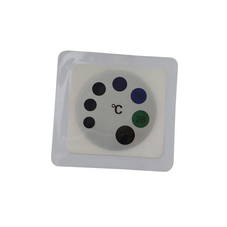 Plastic Clothes Thermometer