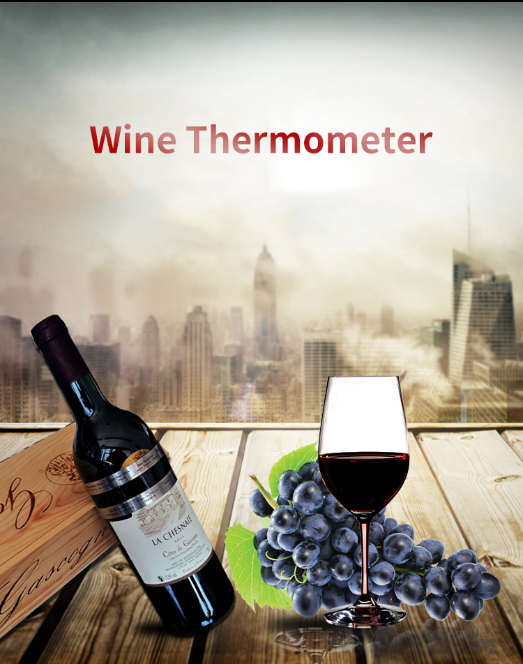 Plastic Wine Beer Thermometer Card 2