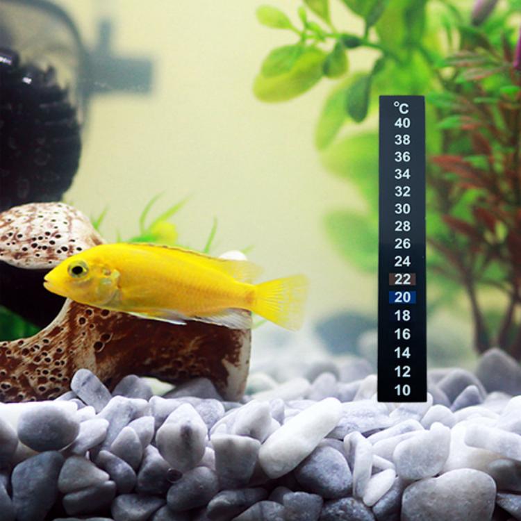 Adhesive Thermometer Sticker (2)