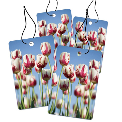 Long-lasting Fragrance Car Air Freshener