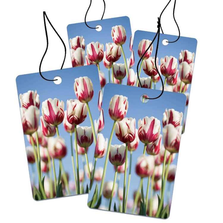 Long-lasting Fragrance Car Air Freshener